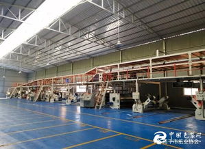 技改升級(jí)驅(qū)動(dòng)高質(zhì)發(fā)展——福建南平紙箱廠七層紙板線技改項(xiàng)目順利完成