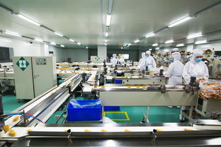 福娃六廠二期項(xiàng)目倉儲(chǔ)擔(dān)保方案解析